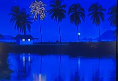 fireworks are lit up in the night sky over water and palm trees with reflections on them