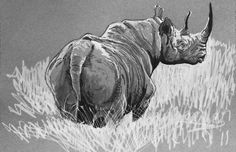 a drawing of a rhino standing in the grass