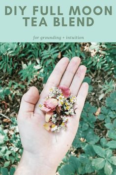 someone holding their hand full of flowers with the words diy full moon tea blend