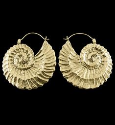 Golden brass ammonite hangers / ear weights. These are a size 18 gauge and will fit comfortably through eyelets / tunnels 4G and bigger. Awesome pair for your plug collection. Shop Urban Body Jewelry Ear Weights, Body Jewelry, Hangers, Piercings, Brass, Wardrobe, Quick Saves