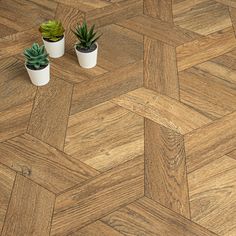 two small potted plants sitting on top of a wooden floor next to each other