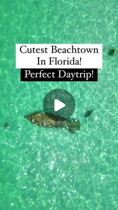 an image of the ocean with text that reads cutest beach town in florida perfect daytrip