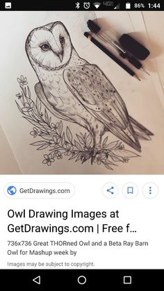 an owl drawing on paper next to a pen and some inking supplies with the caption'getdrawing images at getdrawings com / free f '