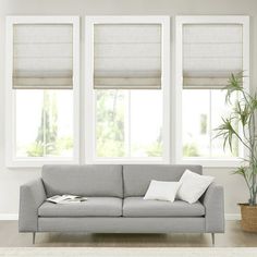 a living room with three windows and a couch in front of the window is a potted plant