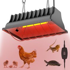 an electric heater with chickens and turtles around it