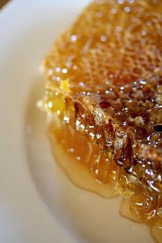 a piece of honey cake on a white plate with syrup and fruit in the middle