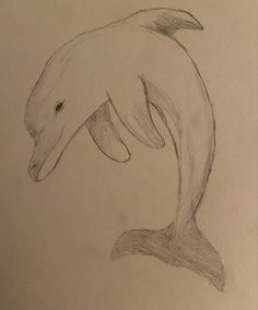 a drawing of a dolphin jumping out of the water