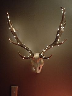 a deer's head mounted on the wall with lights