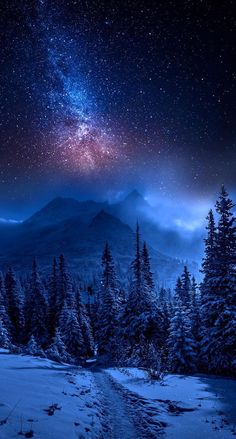 the night sky is filled with stars and clouds, as well as snow covered trees