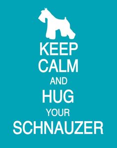 a poster with the words keep calm and hug your schnauzer