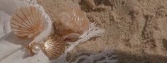 two seashells are laying on the beach towel