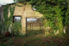 an old run down building with vines growing around it