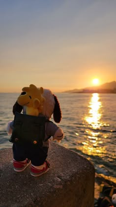 a stuffed dog sitting on top of a rock next to the ocean at sun set