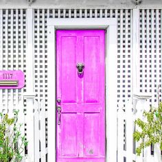 a bright pink door sits in front of a white picket fence