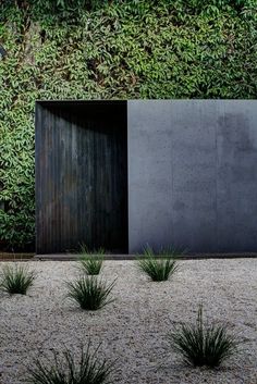 some plants are in front of a wall with a metal structure on it's side