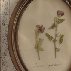 three pressed flowers in a silver frame on a striped tablecloth with writing underneath it