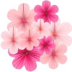 pink paper fans are arranged on a white background