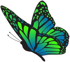 two green and blue butterflies flying side by side