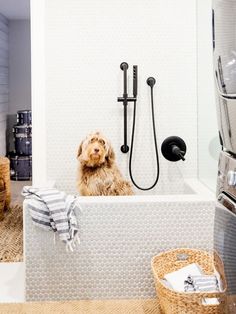 a dog is sitting in the bathtub with towels