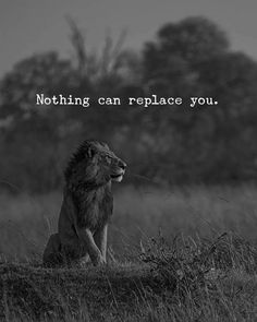 a black and white photo of a lion in the grass with a quote about nothing can replace you