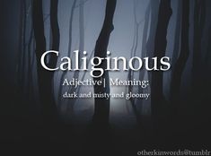 a dark forest filled with trees and the words,'galloinous'above it