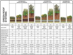 a diagram showing the different stages of growing trees