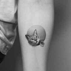 a black and white photo of a cat with a ball on it's leg