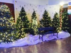 several christmas trees are lined up on the floor in front of a wall with lights