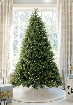 King of Christmas 9' Royal Fir Quick-Shape Artificial Christmas Tree with 1200 Warm White & Multi-Color LED Lights Grand Fir, Realistic Christmas Trees, Realistic Artificial Christmas Trees, Fir Christmas Tree, Pre Lit Christmas Tree, Ultimate Christmas, Tree Shop, Metal Tree, Tree Shapes