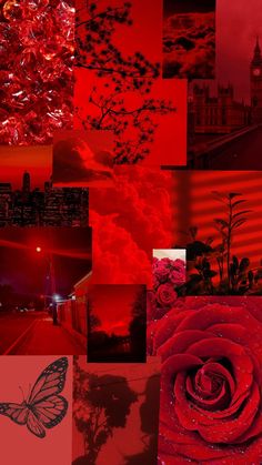 a collage of red and black images with a butterfly on the left side of the image