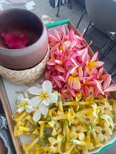 there are many different types of flowers on the table next to a potted plant