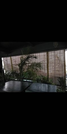 an empty table in front of a window with blinds on the outside and palm trees behind it