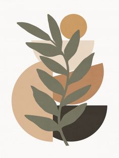 a plant with green leaves on it in front of an orange and brown circle background