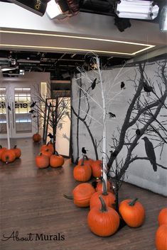 there are many pumpkins on the floor in front of a wall with black birds