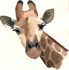 Giraffe Drawing, Giraffe Art, Illustration Watercolor, Arte Animal, Watercolor Design