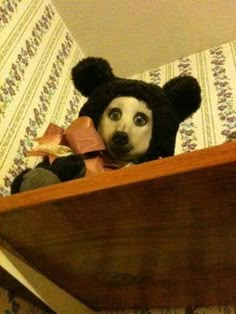 a stuffed animal is peeking out from under a bed