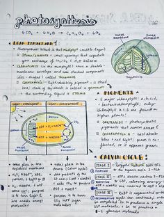 a handwritten diagram on top of a piece of paper with information about photosyntheas