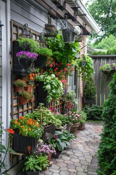 an outdoor garden with lots of flowers and plants hanging from the side of a house