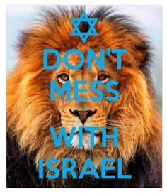 Happy Hanukkah Images, Prayer For Mothers, The Lion Of Judah, You Got That, Jesus Help, Lion Of Judah, Bible Knowledge