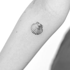 a black and white photo of a seashell tattoo on the left inner arm,