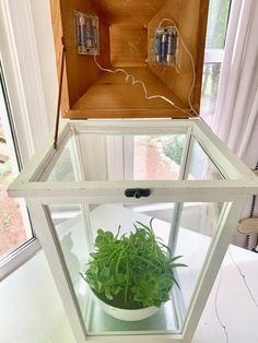 a plant in a glass box on top of a table