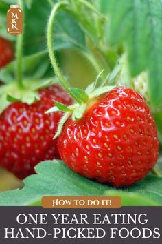 two strawberries on the vine with text overlay how to do it one year eating hand - picked foods