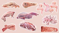 several different types of meat are shown on a pink background, including chicken, pork, and fish