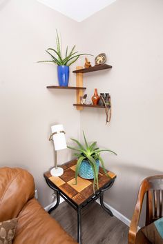 a living room with leather couches and two shelves on the wall holding potted plants