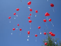 many red balloons are floating in the air