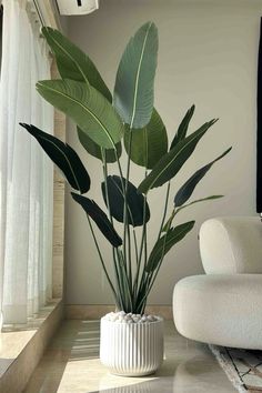 a plant in a white vase sitting on top of a table next to a window