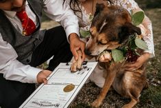 a bride and groom are petting their dog