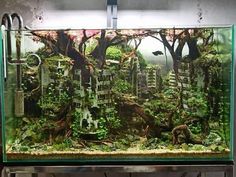 Huge Fish Tank, Fish Tank Themes Ideas Creative, Goth Aquarium, 40 Gallon Aquarium Ideas, Paladarium Design, Fish Tank Themes Creative, Fish Tanks Ideas, Fish Tank Themes Ideas, Planted Aquarium Ideas