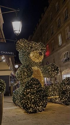 a teddy bear made out of christmas lights