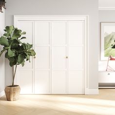 a potted plant sits in front of a white closet with two doors on the wall